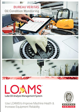 loams-brochure-thumbnail-tv4.jpg