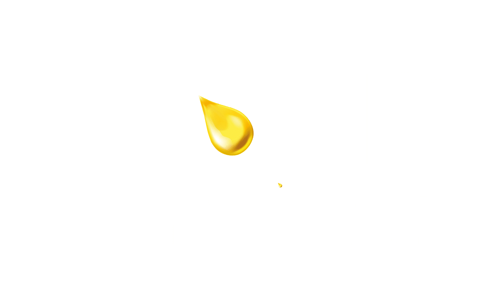 LOAMS_Mobile_Logo_transparent_Logo_PNG copy