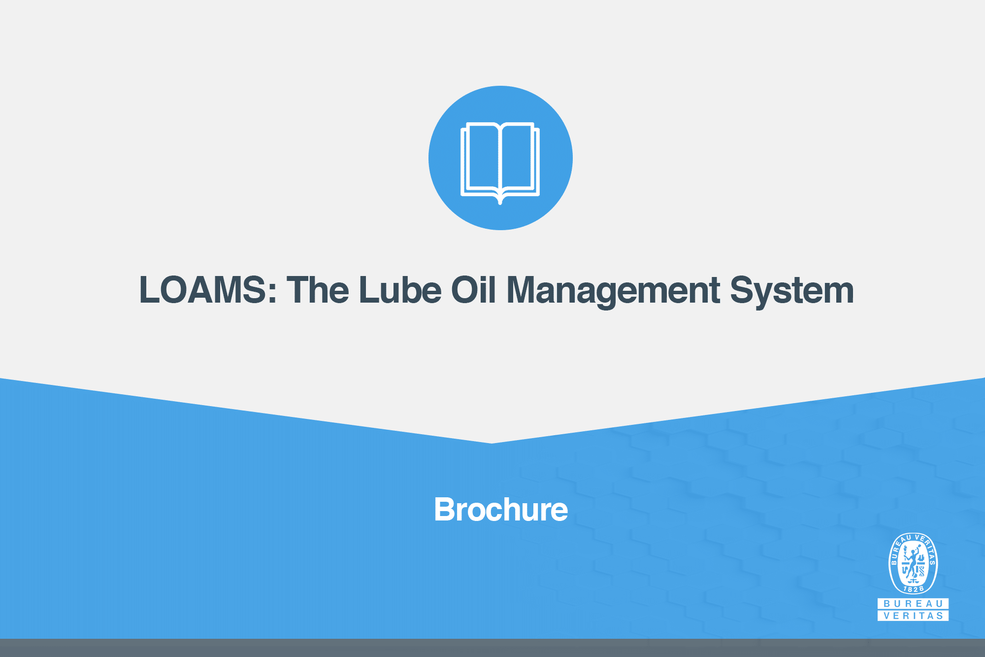 The Lube Oil Management System LOAMS Bureau Veritas